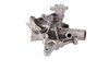 LIGHT DUTY WATER PUMPS - image 3