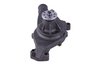 LIGHT DUTY WATER PUMPS - image 2