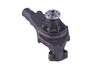 LIGHT DUTY WATER PUMPS - image 3
