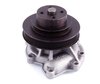 LIGHT DUTY WATER PUMPS - image 3