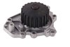 LIGHT DUTY WATER PUMPS - image 2