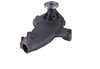 LIGHT DUTY WATER PUMPS - image 4