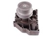HEAVY DUTY WATER PUMPS - image 4
