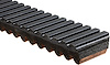 Recreational Belts - G-Force C12 - image 1
