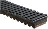 RECREATIONAL BELTS - G-FO - image 2