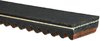 Recreational Belts - G-Force - image 2