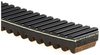 RECREATIONAL BELTS - G-FO - image 2