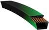 PoweRated Belts - image 3