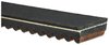 RECREATIONAL BELTS - G-FO - image 2