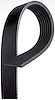HONDA CIVIC SERP BELT - image 1