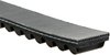 Recreational Belts - PowerLink Scooter - image 2