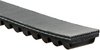 Recreational Belts - PowerLink Scooter - image 2