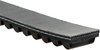 Recreational Belts - PowerLink Scooter - image 2