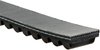 Recreational Belts - PowerLink Scooter - image 2