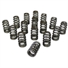 Ovate Beehive Valve Spring Set 1.207 in. OD - image 1