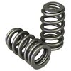 Ovate Beehive Valve Spring Set 1.207 in. OD - image 2