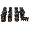 Pro-Alloy Dual Valve Spring Set 1.660 in. OD - image 1