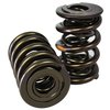 Pro-Alloy Dual Valve Spring Set 1.660 in. OD - image 2