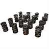 Pro-Alloy Dual Valve Spring Set 1.660 in. OD - image 1