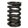 1.29 VALVE SPRING - image 2
