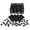 Ovate Beehive Valve Spring & Retainer Kit 1.280 in. OD