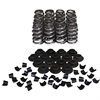 Electro Polished Ovate Beehive Valve Spring & Retainer Kit 1.280 in. OD