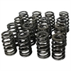 Ovate Beehive Valve Spring Set 1.289 in. OD