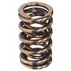 GM Gen III Valve Spring Set 1.305 in. OD - image 1