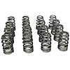 Ovate Beehive Valve Spring Set 1.105 in. OD - image 1