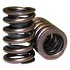 Performance Valve Spring Set 1.250 in. OD - image 2