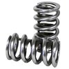 Electro Polished Performance Dual Valve Spring Set 1.265 in. OD - image 2