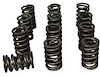 98411-12 Performance Spring Valve Spring Set 1.437 in. OD - image 1