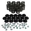 Performance Valve Spring Set 1.465 in. OD