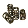 Performance Valve Spring Set 1.440 in. OD - image 2