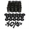 Performance Valve Spring & Retainer Kit 1.485 in. OD
