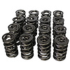 Performance Valve Spring Set 1.514 in. OD
