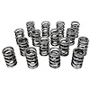 Electro Polished Performance Valve Spring Set 1.514 in. OD - image 1
