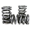 Electro Polished Performance Valve Spring Set 1.514 in. OD - image 2