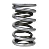Electro Polished Performance Valve Spring Set 1.514 in. OD - image 3