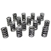 Electro Polished Performance Valve Spring Set 1.550 in. OD - image 1