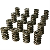 Max Effort Mechanical Roller Dual Valve Spring Set 1.539 in. OD