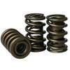 Max Effort Mechanical Roller Dual Valve Spring Set 1.539 in. OD - image 2