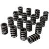 Electro Polished Pro-Alloy Dual Valve Spring Set 1.540 in. OD - image 1