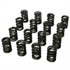 Pro-Alloy Dual Valve Spring Set 1.550 in. OD - image 1