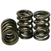 Pro-Alloy Dual Valve Spring Set 1.550 in. OD - image 2