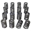 Electro Polished Pro-Alloy Dual Valve Spring Set 1.550 in. OD - image 1