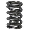 Electro Polished Pro-Alloy Dual Valve Spring Set 1.550 in. OD - image 3