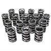 Max Effort Mechanical Roller Dual Valve Spring Set 1.539 in. OD