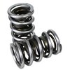 Max Effort Mechanical Roller Dual Valve Spring Set 1.539 in. OD - image 2