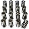Max Effort Mechanical Roller Dual Valve Spring Set 1.557 in. OD - image 1